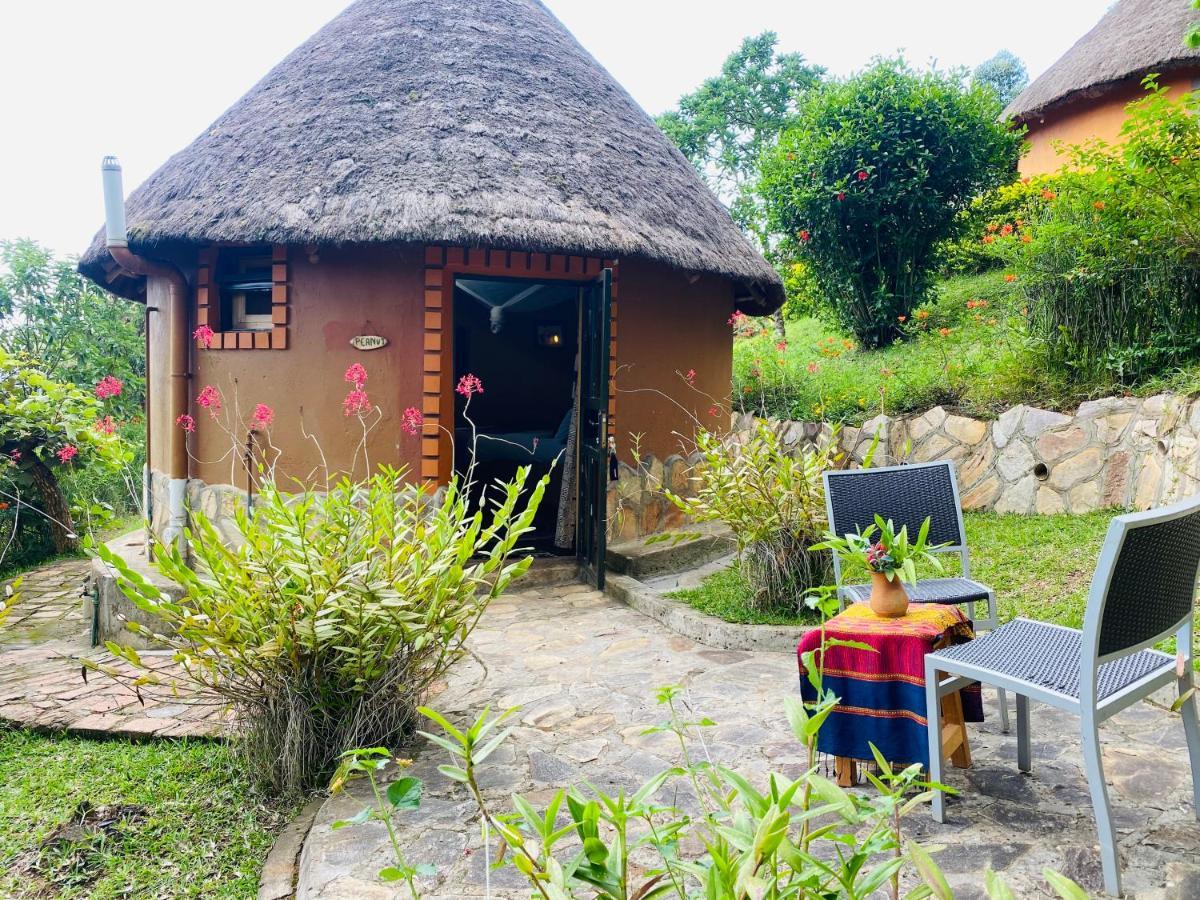 Mbarara Nyore Hillside Retreat מראה חיצוני תמונה