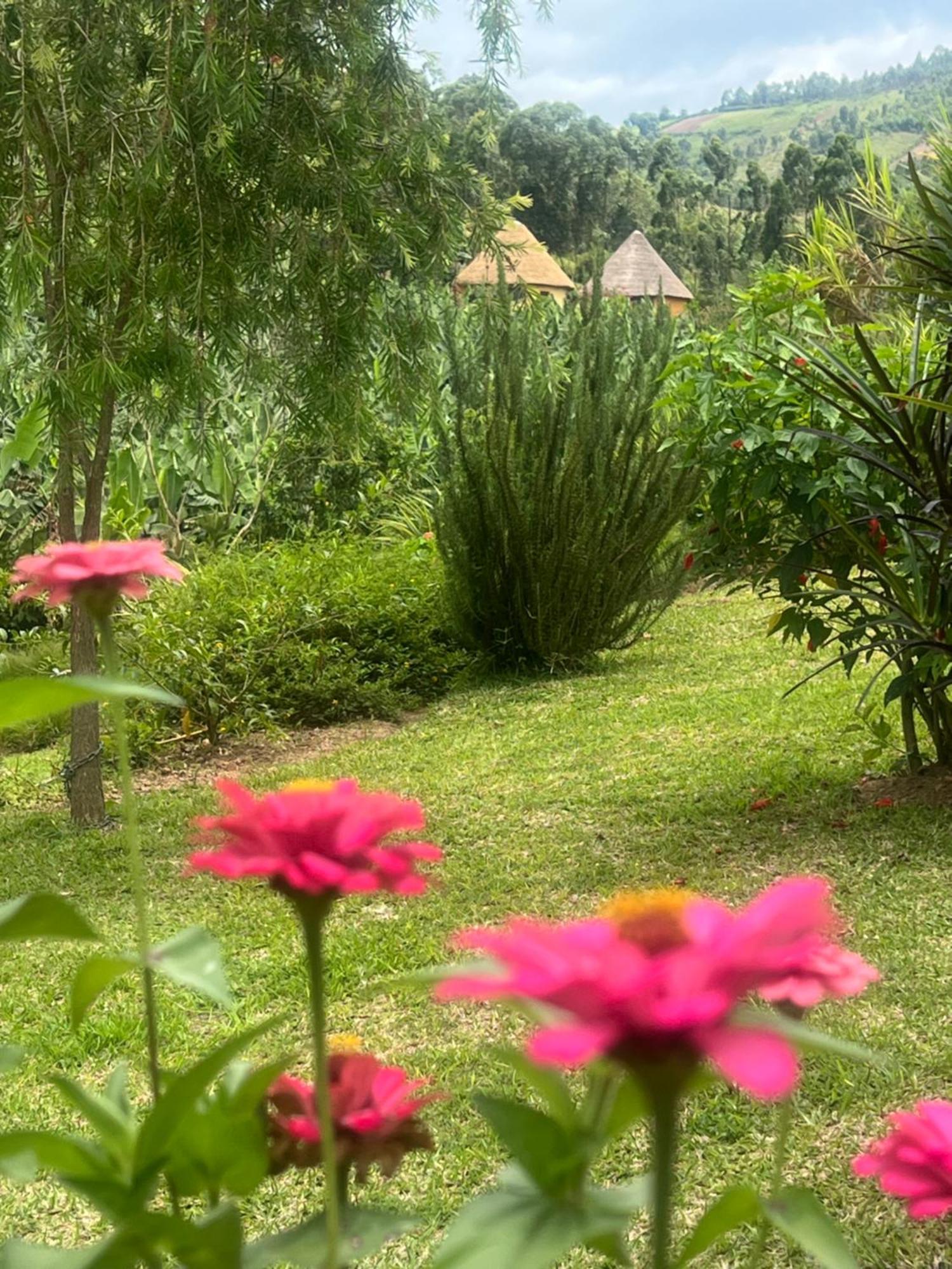 Mbarara Nyore Hillside Retreat מראה חיצוני תמונה