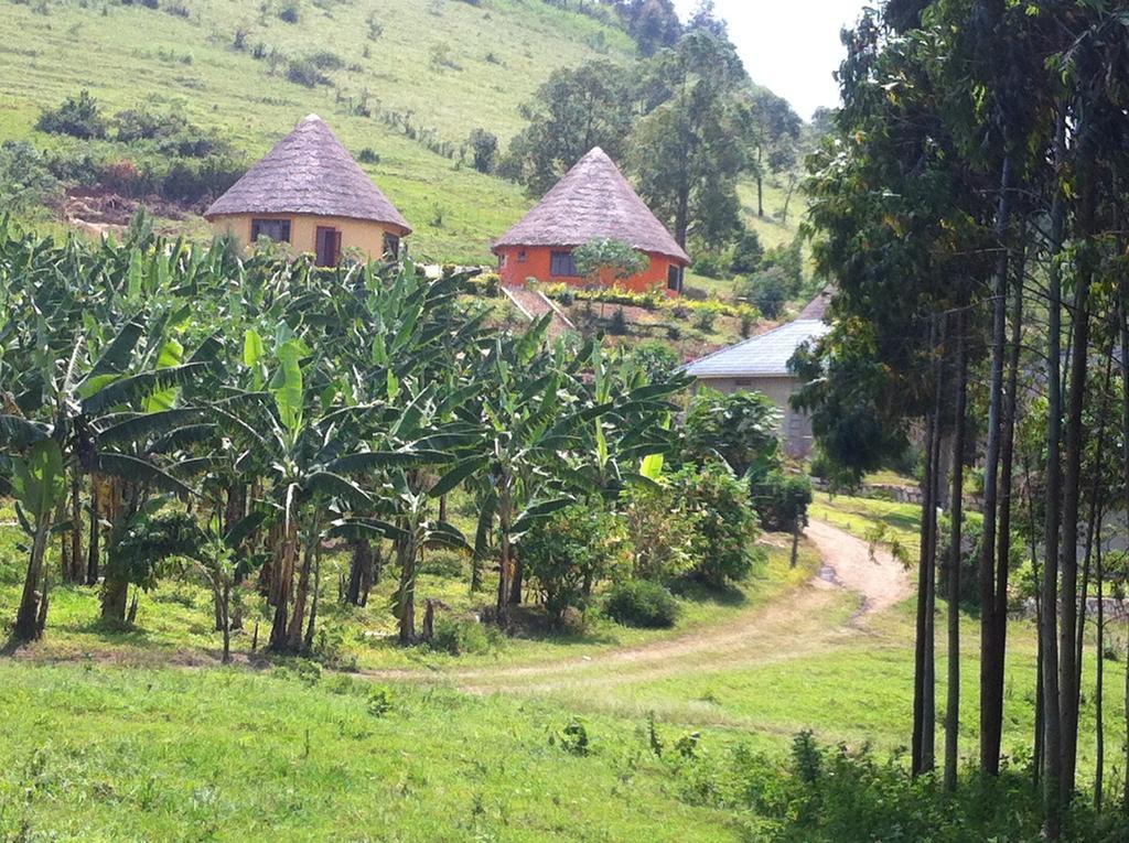 Mbarara Nyore Hillside Retreat מראה חיצוני תמונה