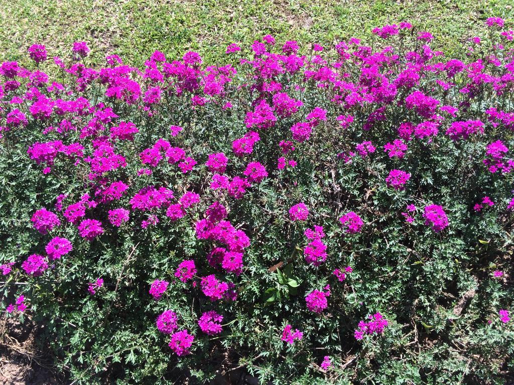 Mbarara Nyore Hillside Retreat מראה חיצוני תמונה