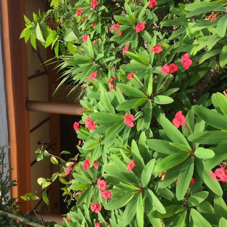 Mbarara Nyore Hillside Retreat מראה חיצוני תמונה