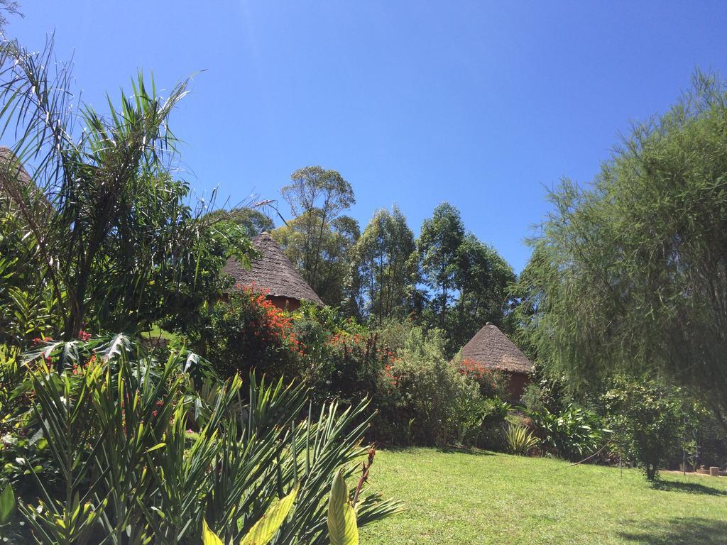 Mbarara Nyore Hillside Retreat מראה חיצוני תמונה