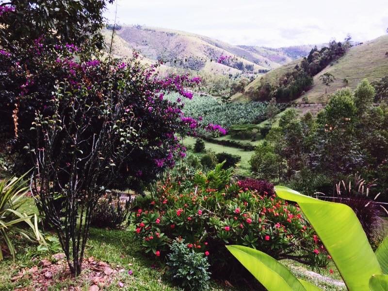 Mbarara Nyore Hillside Retreat מראה חיצוני תמונה