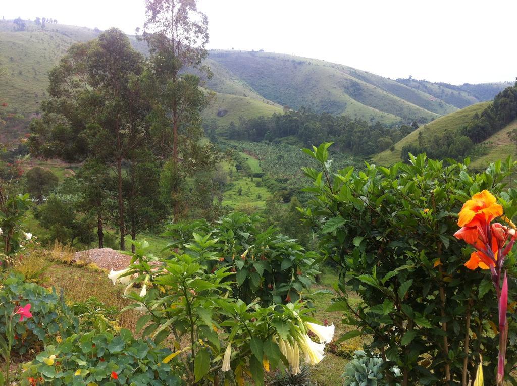 Mbarara Nyore Hillside Retreat מראה חיצוני תמונה