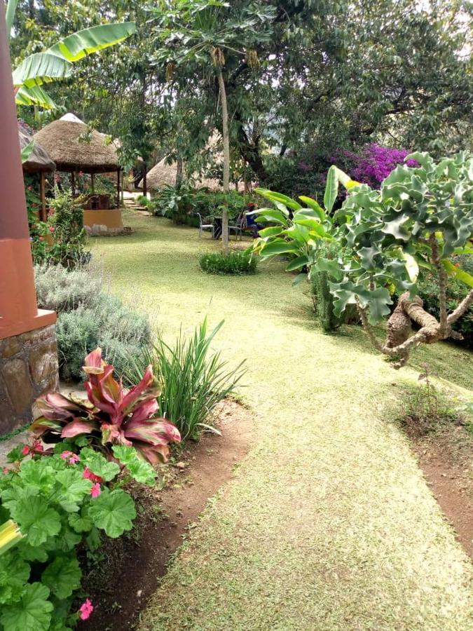 Mbarara Nyore Hillside Retreat מראה חיצוני תמונה